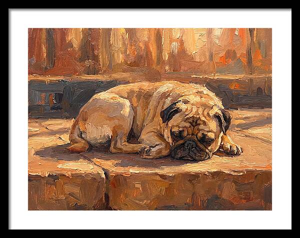Sleeping Pug In The Sun