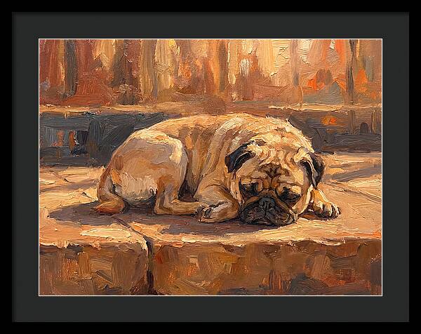 Sleeping Pug In The Sun