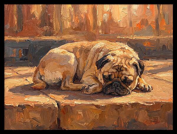 Sleeping Pug In The Sun