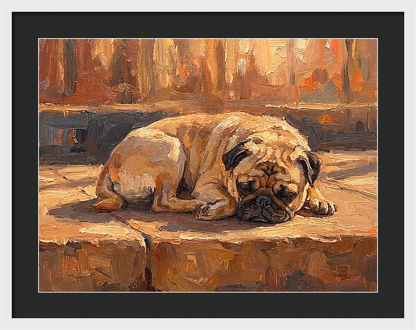 Sleeping Pug In The Sun