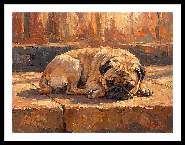 Sleeping Pug In The Sun