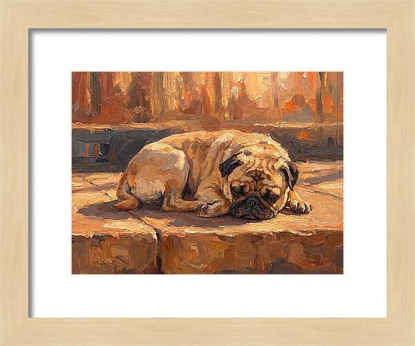 Sleeping Pug In The Sun