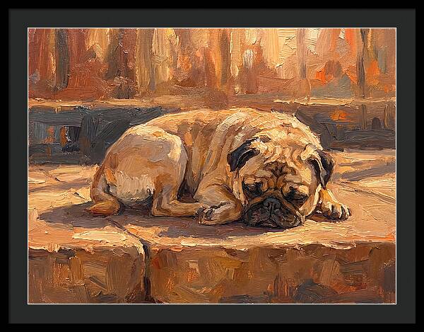 Sleeping Pug In The Sun