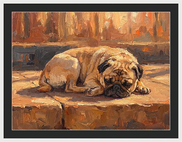 Sleeping Pug In The Sun