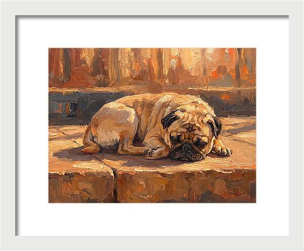 Sleeping Pug In The Sun