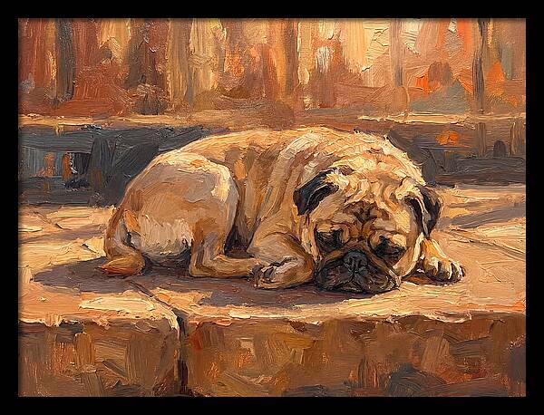 Sleeping Pug In The Sun