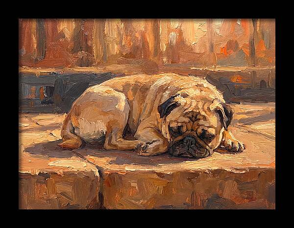 Sleeping Pug In The Sun