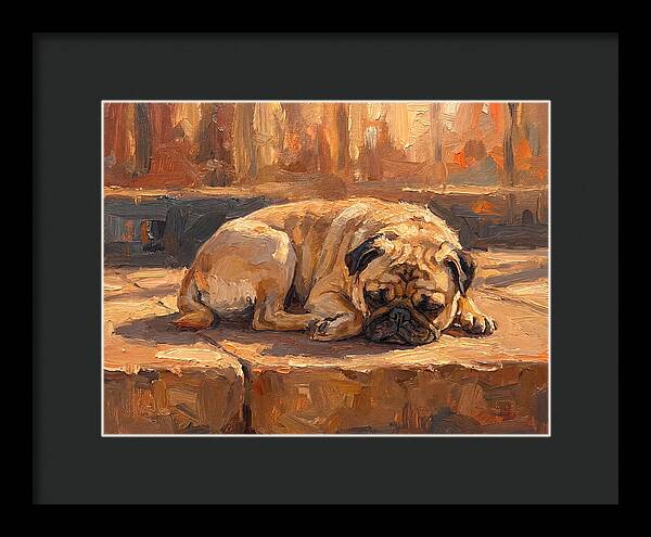 Sleeping Pug In The Sun