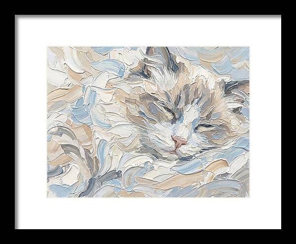 Sleeping Ragdoll Cat