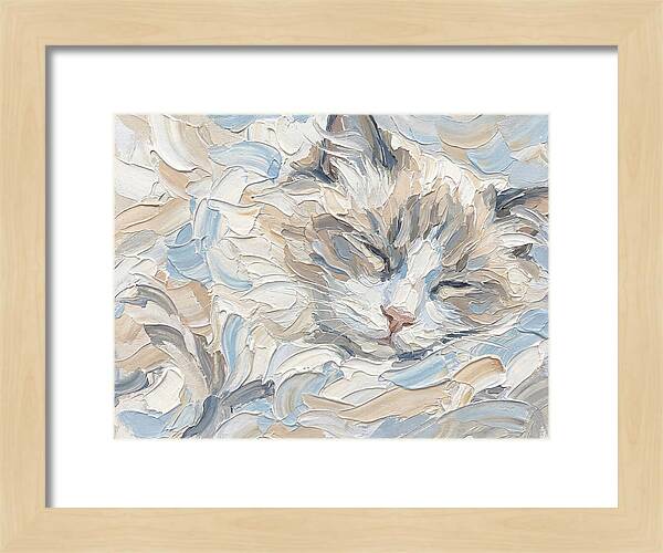 Sleeping Ragdoll Cat