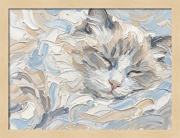 Sleeping Ragdoll Cat
