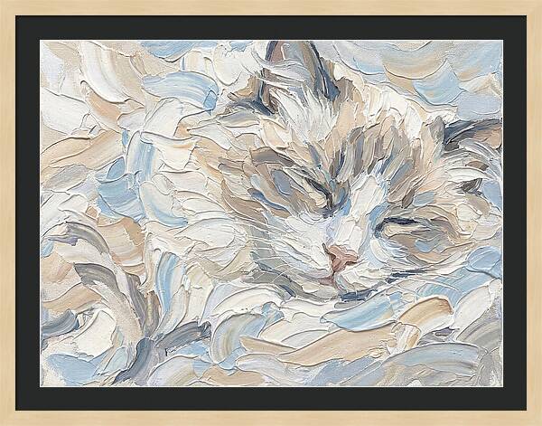 Sleeping Ragdoll Cat