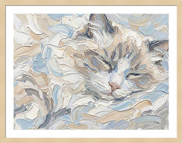 Sleeping Ragdoll Cat
