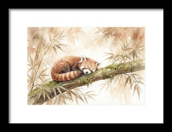 Sleeping Red Panda On Bamboo