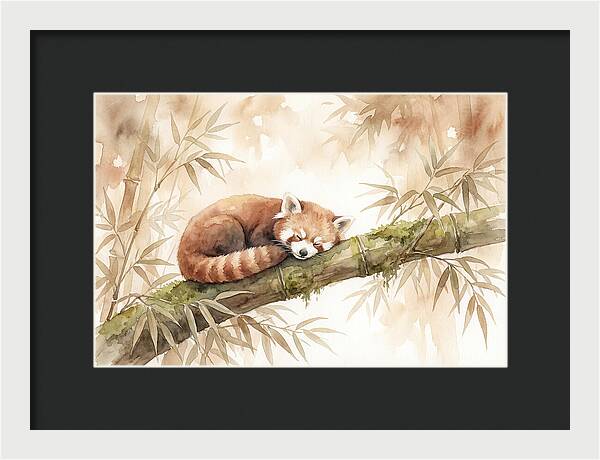 Sleeping Red Panda On Bamboo