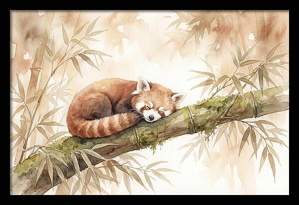 Sleeping Red Panda On Bamboo