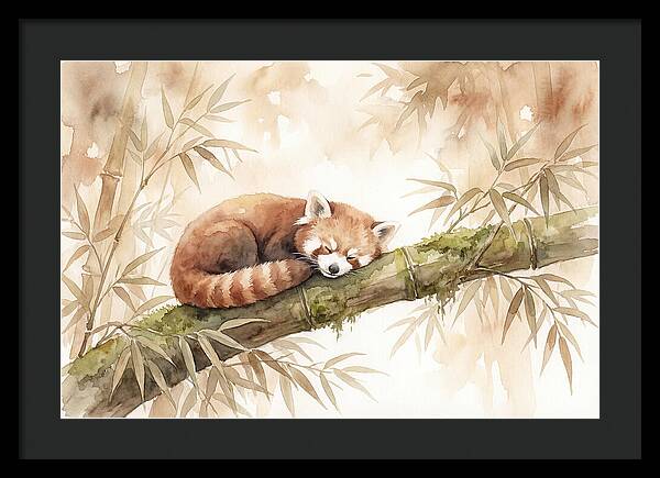 Sleeping Red Panda On Bamboo