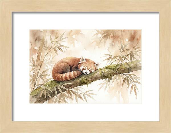 Sleeping Red Panda On Bamboo