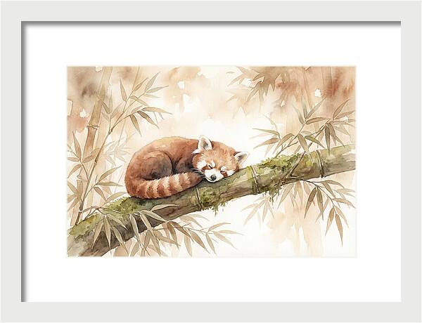 Sleeping Red Panda On Bamboo