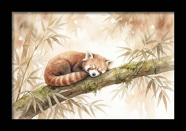 Sleeping Red Panda On Bamboo