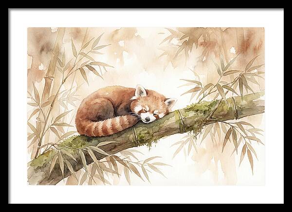 Sleeping Red Panda On Bamboo