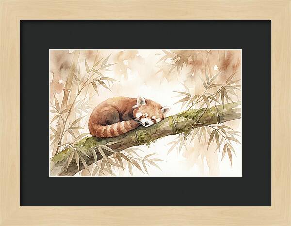 Sleeping Red Panda On Bamboo