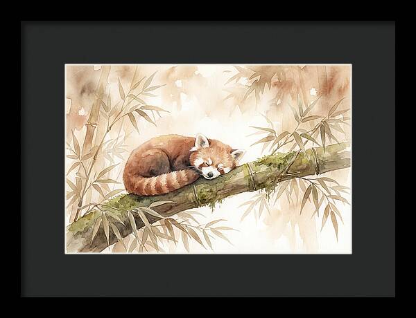 Sleeping Red Panda On Bamboo