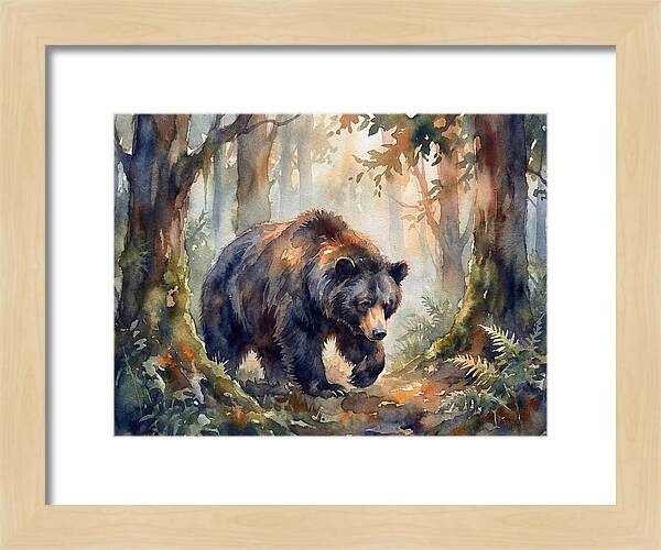 Sloth Bear In A Forest