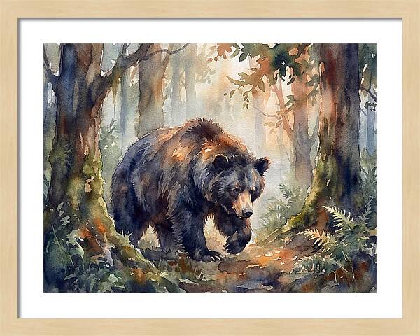 Sloth Bear In A Forest