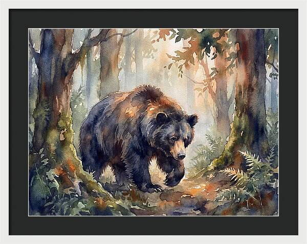 Sloth Bear In A Forest