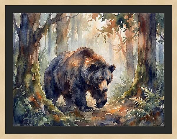 Sloth Bear In A Forest