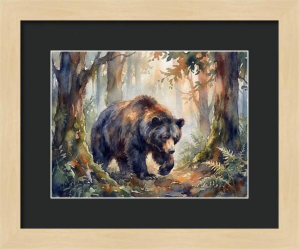 Sloth Bear In A Forest