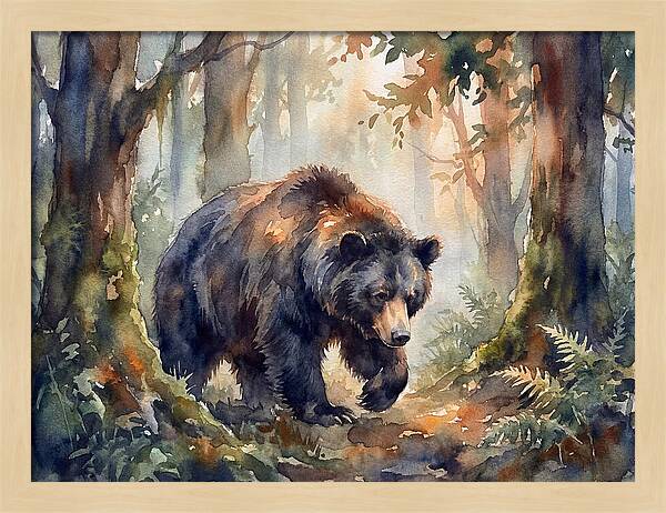 Sloth Bear In A Forest