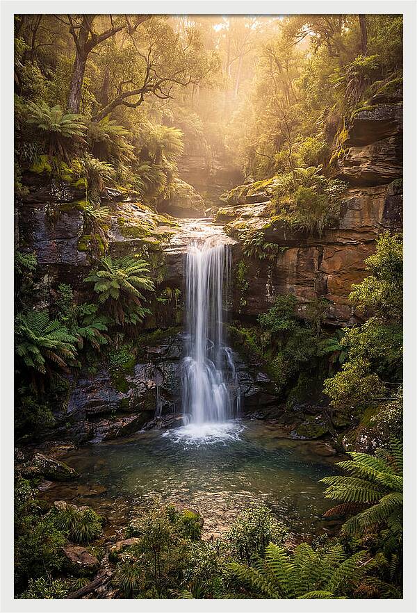 Smith Falls Serenity