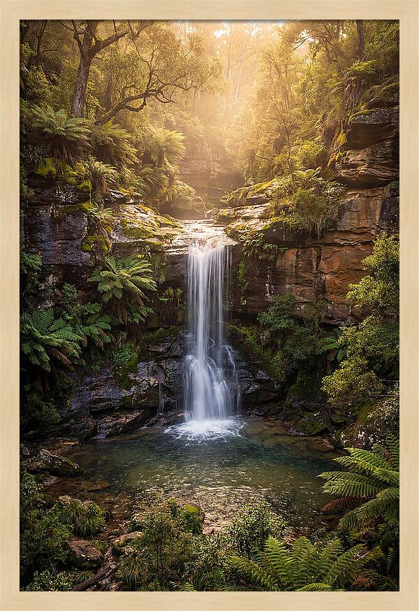 Smith Falls Serenity