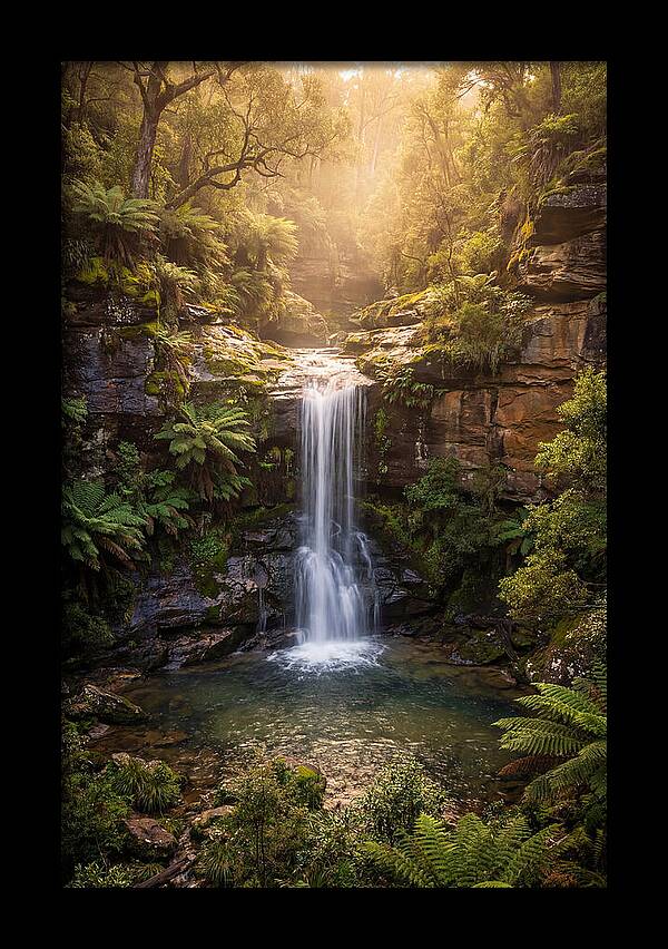 Smith Falls Serenity