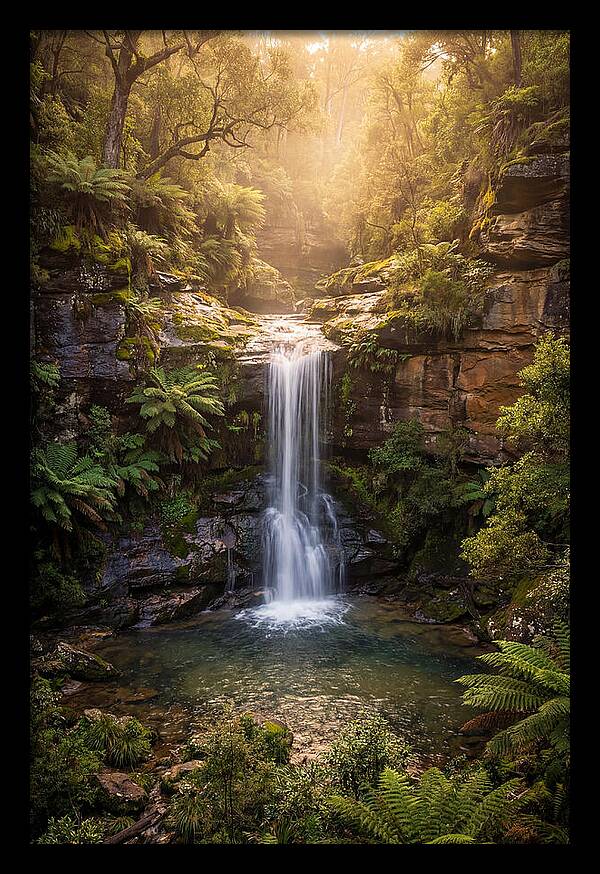 Smith Falls Serenity