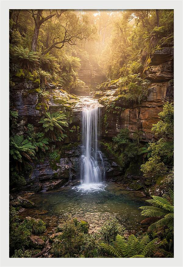 Smith Falls Serenity