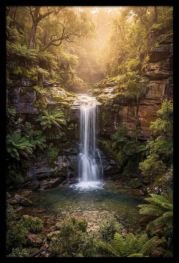 Smith Falls Serenity