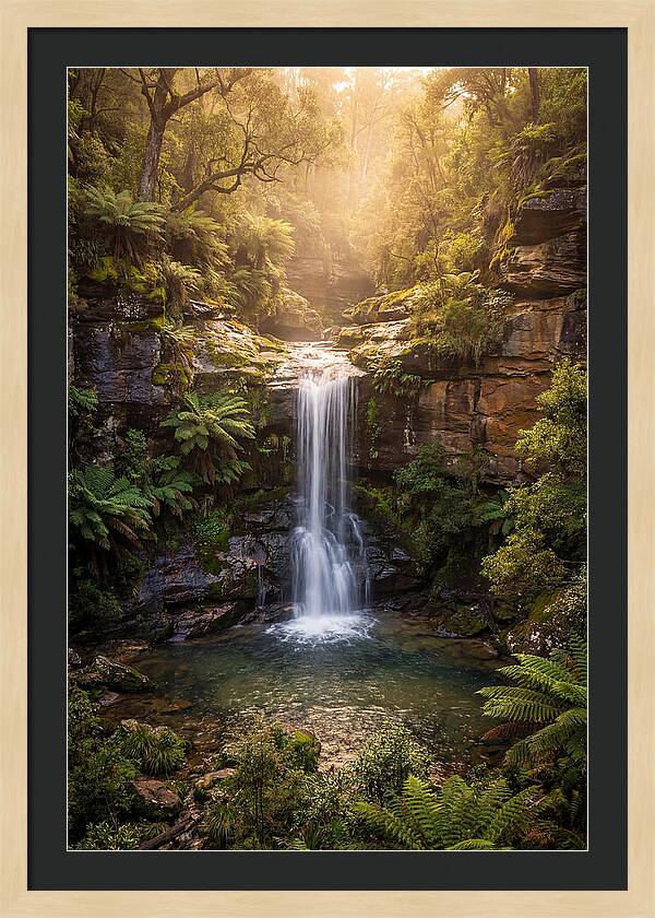 Smith Falls Serenity