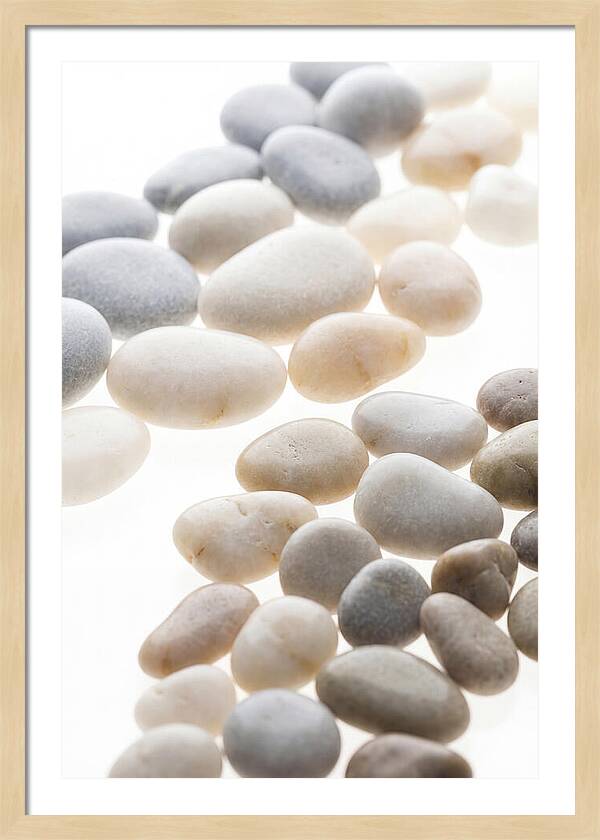 Smooth Sea Stones In Bands Of Grey