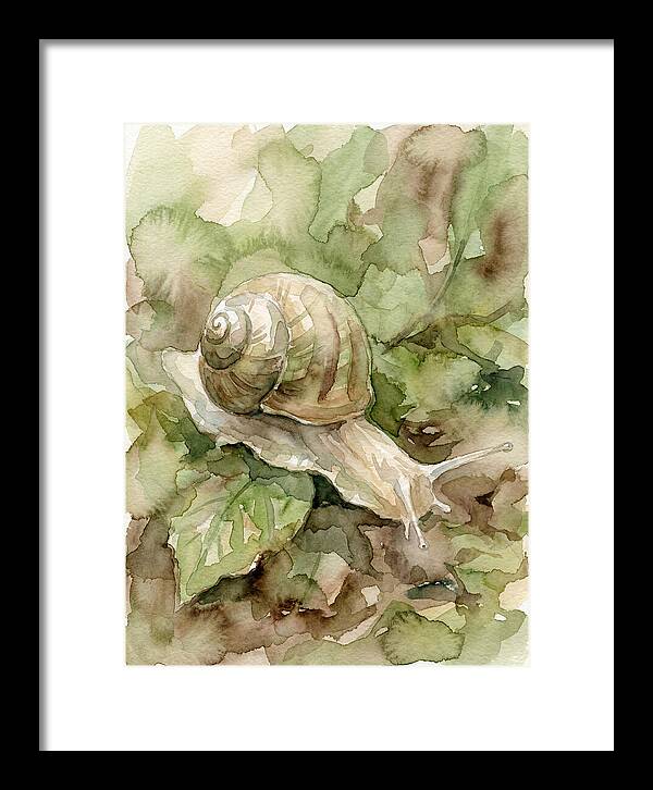 Snail Among Lush Greenery
