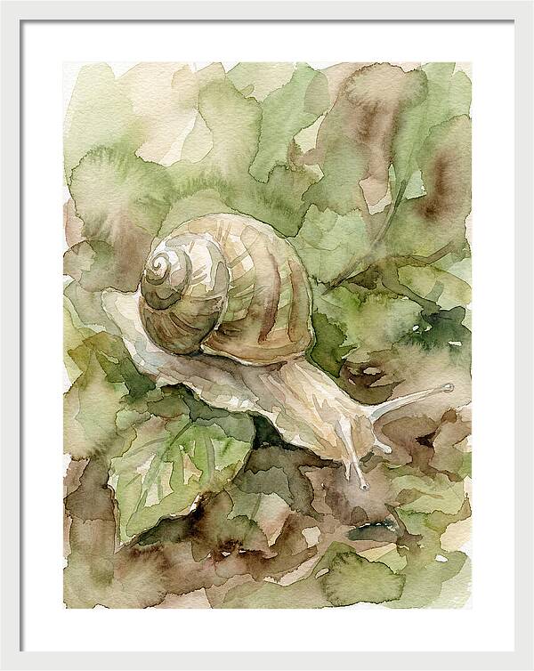Snail Among Lush Greenery