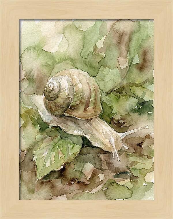 Snail Among Lush Greenery
