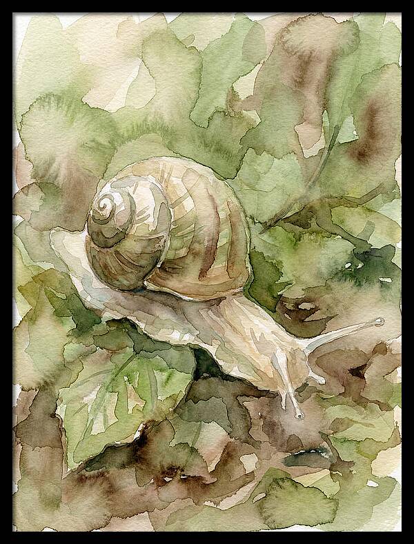 Snail Among Lush Greenery