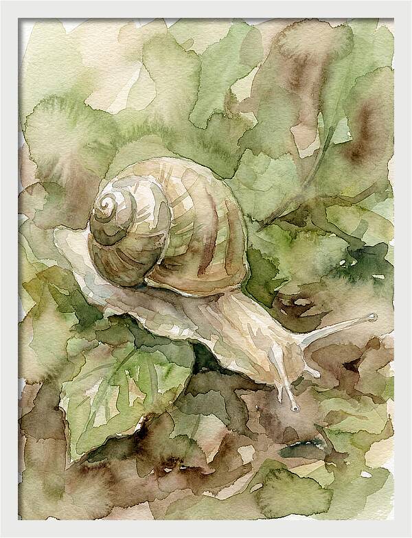 Snail Among Lush Greenery