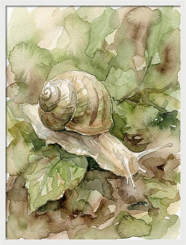 Snail Among Lush Greenery