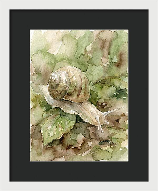 Snail Among Lush Greenery