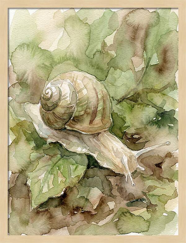 Snail Among Lush Greenery