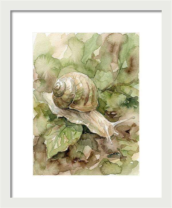 Snail Among Lush Greenery